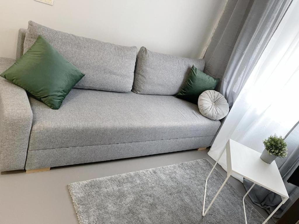 Apartament Green Hill Katowice